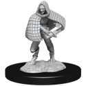 Dungeons & Dragons Nolzur's Marvellous Miniatures - Darkling Elder & Darklings