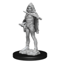 Dungeons & Dragons Nolzur's Marvellous Miniatures - Darkling Elder & Darklings - Image 3