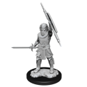 Dungeons & Dragons Nolzur's Marvellous Miniatures - Human Fighter Male