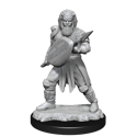 Dungeons & Dragons Nolzur's Marvellous Miniatures - Human Fighter Male - Image 3