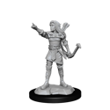 Dungeons & Dragons Nolzur's Marvellous Miniatures - Elf Ranger Female