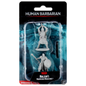 Dungeons & Dragons Nolzur's Marvellous Miniatures - Human Barbarian Male