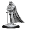 Dungeons & Dragons Nolzur's Marvellous Miniatures - Human Paladin Male