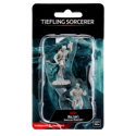 D&D Nolzur's Marvelous Minis: Male Tiefling Sorcerer