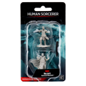 D&D Nolzur's Marvelous Minis: Male Human Sorcerer