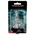 D&D Nolzur's Marvelous Minis: Male Human Paladin