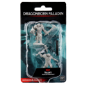 D&D Nolzur's Marvelous Minis: Male Dragonborn Paladin