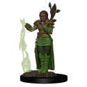 D&D Icons of the Realms: Premium Human Druid (Female)
