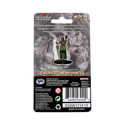 D&D Icons of the Realms: Premium Human Druid (Female) - Image 2