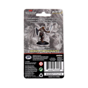 D&D Icons of the Realms: Premium Dragonborn Paladin (Female) - Image 3