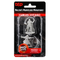D&D Nolzur's Marvelous Minis: Male Human Wizard