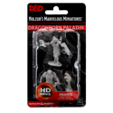 D&D Nolzur's Marvelous Minis: Male Dragonborn Paladin
