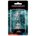 D&D Nolzur's Marvelous Minis: Human Warlock (Male)