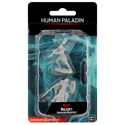 D&D Nolzur's Marvelous Minis: Human Paladin (Female)