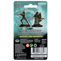 D&D Nolzur's Marvelous Minis: Human Paladin (Female) - Image 2