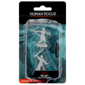 D&D Nolzur's Marvelous Minis: Human Rogue (Female)
