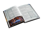 Warhammer Fantasy RPG: Dwarf Player's Guide - Image 3