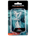 D&D Nolzur's Marvelous Minis: Half-Elf Monk (Male)