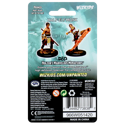 D&D Nolzur's Marvelous Minis: Half-Elf Monk (Male) - Image 2