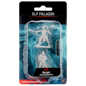 D&D Nolzur's Marvelous Minis: Elf Paladin (Male)