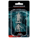 D&D Nolzur's Marvelous Minis: Human Rogue (Male)