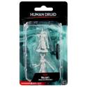 D&D Nolzur's Marvelous Minis: Human Druid (Female)