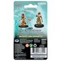 D&D Nolzur's Marvelous Minis: Human Druid (Female) - Image 3
