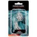 D&D Nolzur's Marvelous Minis: Human Cleric (Male)
