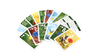 Pixies: Flower Power Expansion - Image 2