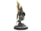 Warcrow : Hegemony Black Legion Bucklermen - Image 2