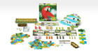 Life of the Amazonia - Image 2