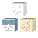 Chiikawa CUCASE 2 (Random Design) - Image 3
