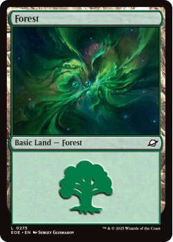 Forest single card from Magic: the Gathering