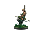 Warcrow : Syena Protectors of the Forest - Image 3