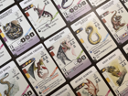 Wyrmspan: Dragon Academy Expansion - Image 2