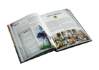 Warhammer Fantasy RPG: High Elf Player's Guide - Image 3