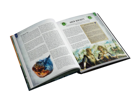 Warhammer Fantasy RPG: High Elf Player's Guide - Image 4