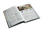Warhammer Fantasy RPG: High Elf Player's Guide - Image 5