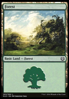 Forest (FOIL) : KALADESH 263/274 - Magic the Gathering Single Card
