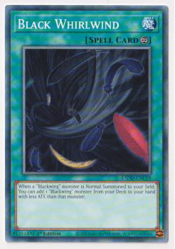 Black Whirlwind (Common) single card from Yu-Gi-Oh!
