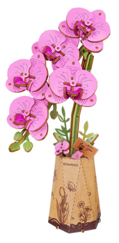 Rolife Purple Moth Orchid