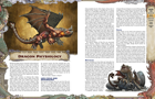 Pathfinder 2nd Edition: Lost Omens Draconic Codex Special Edition - Image 4