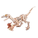 ROKR Velociraptor Mechanical 3D Wooden Puzzle LD01 - Image 2