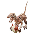 ROKR Velociraptor Mechanical 3D Wooden Puzzle LD01 - Image 3