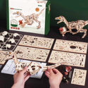 ROKR Velociraptor Mechanical 3D Wooden Puzzle LD01 - Image 5