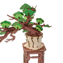 Rolife Evergreen Pine Bonsai DIY Wooden 3D Puzzle TG510 - Image 3