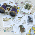 Botany: A Victorian Expedition ***DAMAGED ITEM*** - Image 2