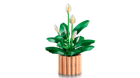 LEGO&reg; Botanicals Peace Lily (11504) - Image 2