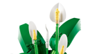 LEGO&reg; Botanicals Peace Lily (11504) - Image 3