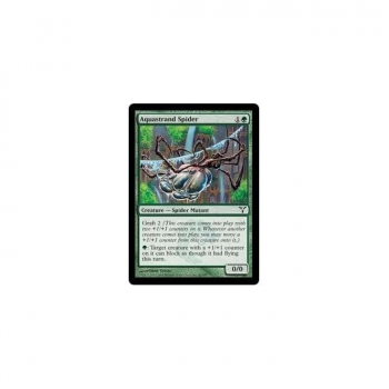Aquastrand Spider : DISSENSION 080/180 - Magic the Gathering Single Card